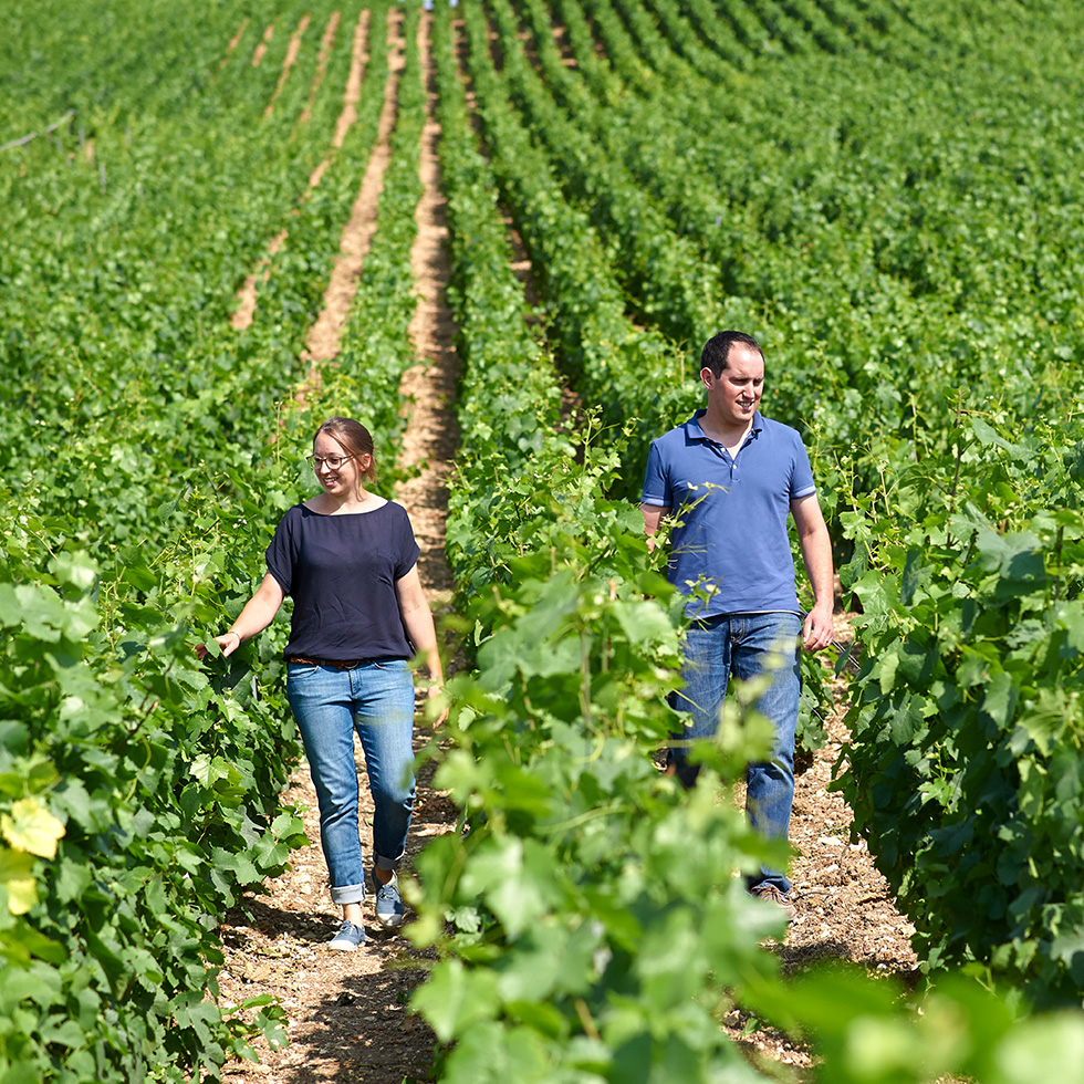 Lacroix - Triaulaire, Merrey-Sur-Arce