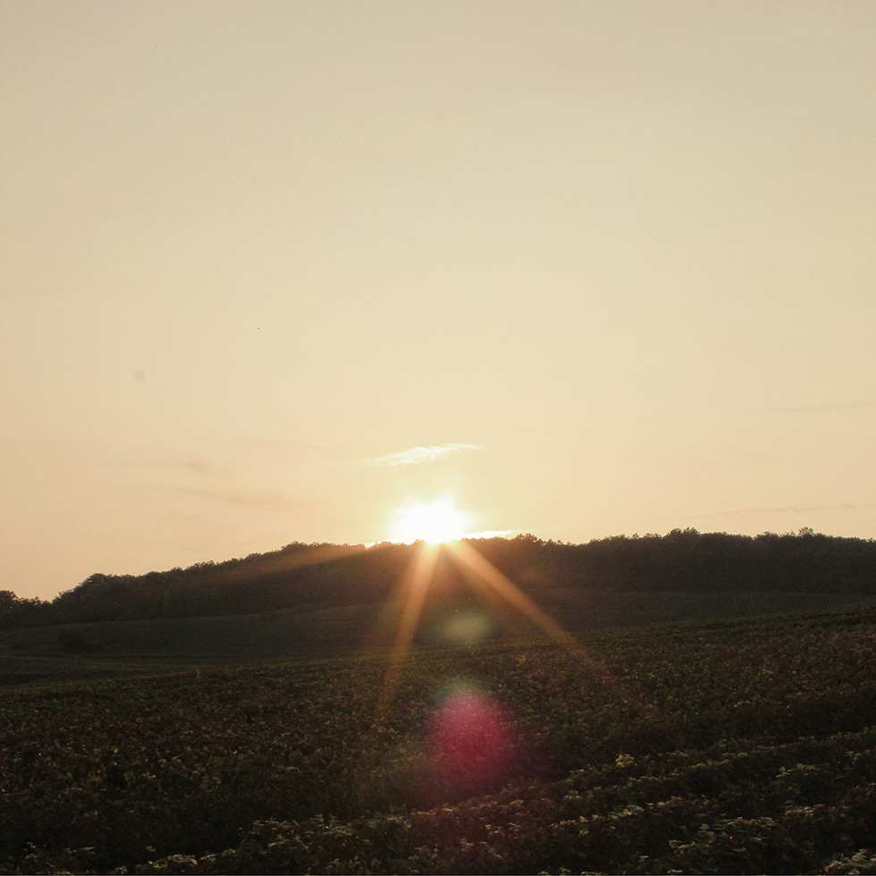 Nathalie Falmet, Rouvres-les-Vignes